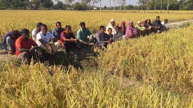 dinajpur5
