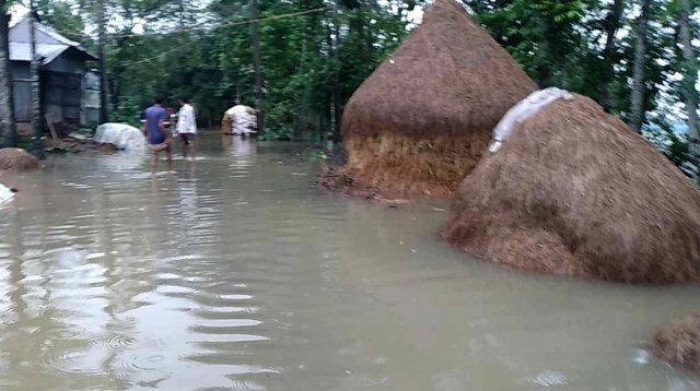 flood