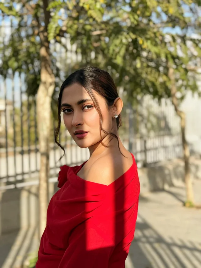 মেহজাবীন চৌধুরী