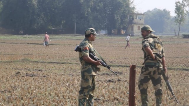 bsf3