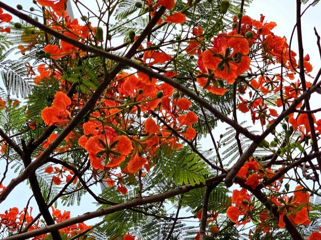 Internetda yalashni xohlamaydi