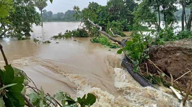 বাঁধ ভেঙে লোকালয়ে ঢুকছে পানি