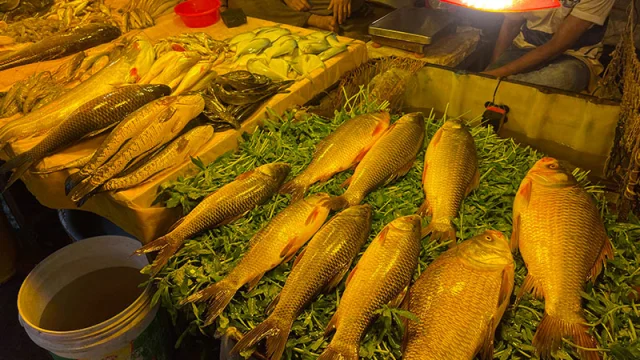 মাছ