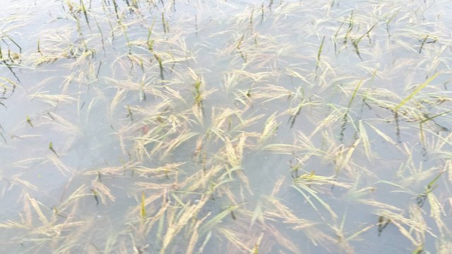 591827317_1127849649530875_1713602000694673010_n