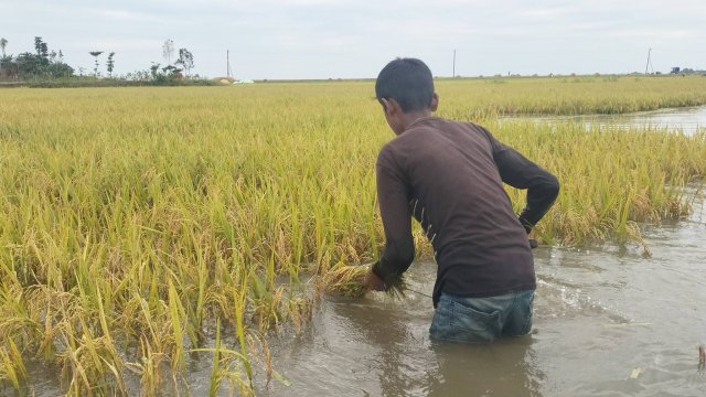 672554044_2206252216781260_7378918285087104165_n