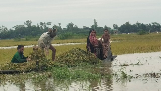 592188092_36592021590396884_3168862200450959811_n