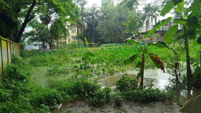 এ ঘটনায় থানাসহ সংশ্লিষ্ট সরকারি দফতরে লিখিত অভিযোগ দেওয়ার পরও ভরাট বন্ধ হয়নি