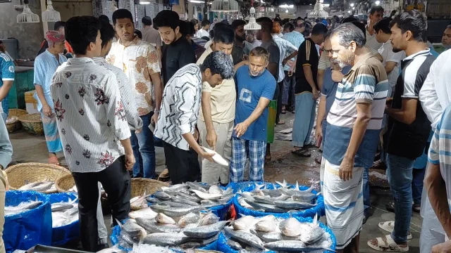 ilish-bangla-tribune2