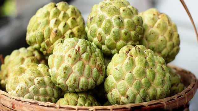 আতা ফল খাওয়ার ১০ দারুণ উপকারিতা