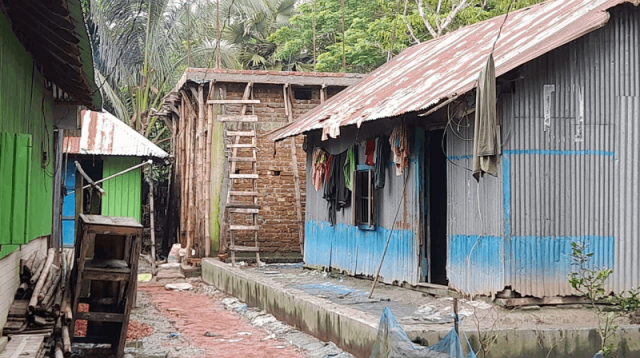 Semiz ayollarning katta mushuklarining fotosuratlari