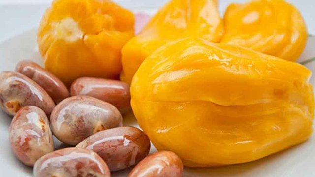 কাঁঠালের বিচি উপকারী নানা পুষ্টি উপাদানে ভরপুর। ছবি- সংগৃহীত