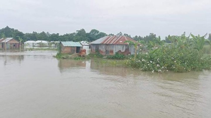 kurigram-flood2