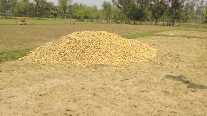 rajsahi-1