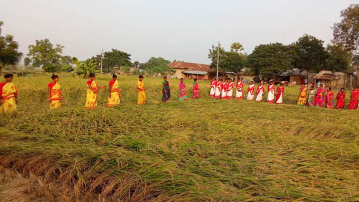 rajshahi-news2