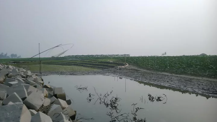 tista-1