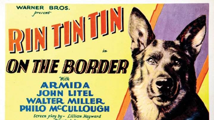 রিন টিন টিন, ১৯৩০-এর দশকের &lsquo;অন দ্য বর্ডার&rsquo;-এর মতো অনেক সিনেমার পোস্টারেও স্থান পেয়েছিলো