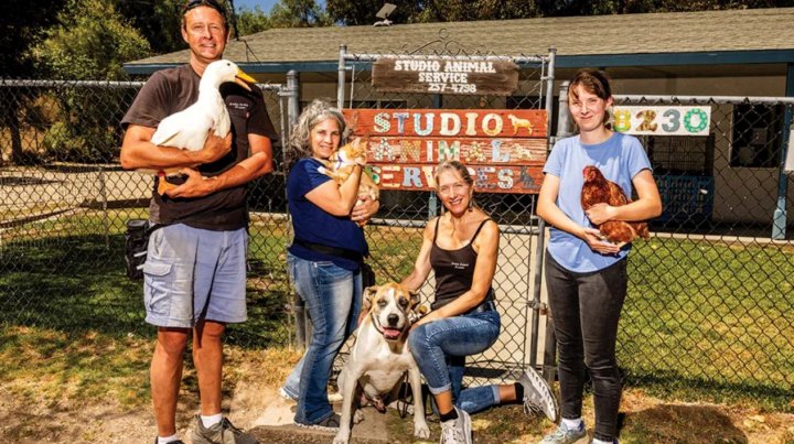 ডেভিড মেয়ার্স (ববের সাথে), ডেবোরা পাপাজিয়ানোপোলোস (ম্যাঙ্গো), ক্যারোলিন ডোহার্টি (রোকো) এবং জেসিকা (মোরগ কোলে)