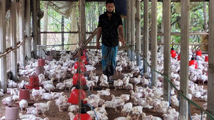 myminsing_banglatribune