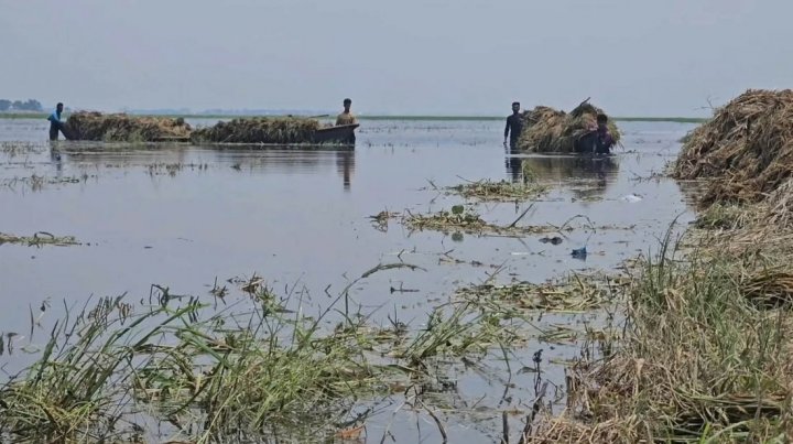 a30f50adf015e1a6dccde84263ffe2c3-69f1f746216bf