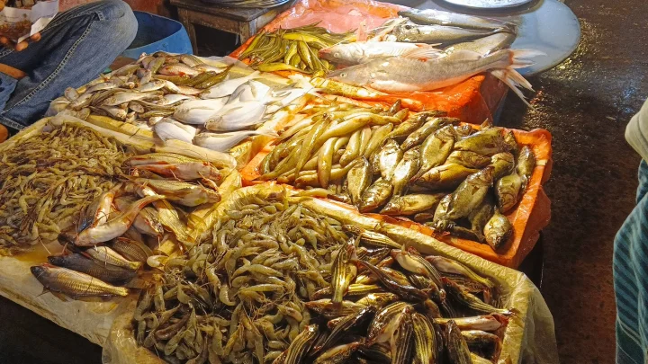 মাছ