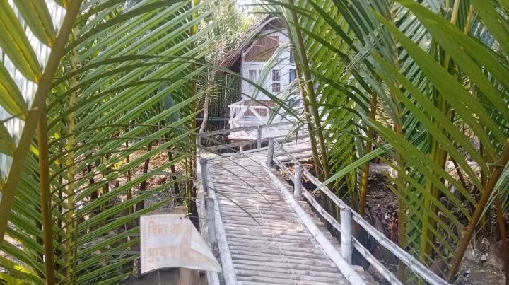 এসব রিসোর্ট পরিবেশগত সংকটাপন্ন এলাকা (ইসিএ) জোনের মধ্যে হওয়ায় পরিবেশগত ছাড়পত্র দেওয়া হয়নি