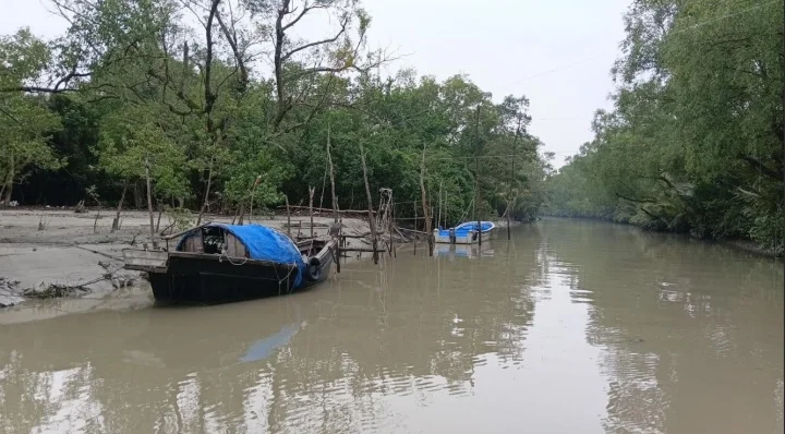 খোলপেটুয়া নদীর শিলা কাঁকড়ার ফুলকায় গড়ে ১৮টি ও অন্ত্রে ৩০টি প্লাস্টিক কণা পেয়েছেন গবেষকেরা