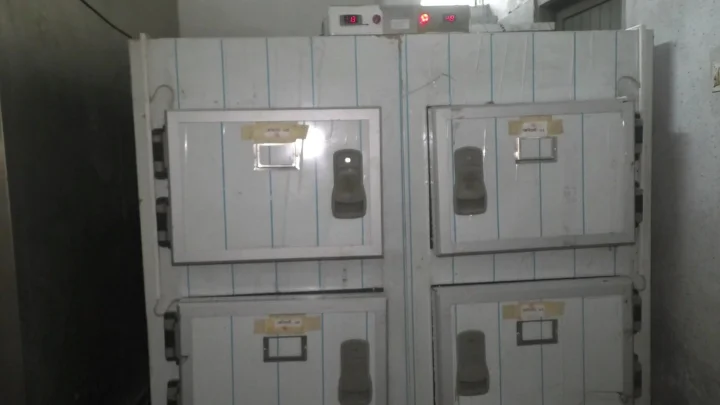 মর্গে দুই মরদেহ