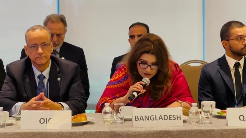 বিরোধ ও সহিংসতায় রূপ নেওয়ার আগেই সমস্যার সমাধান করতে হবে: শামা ওবায়েদ