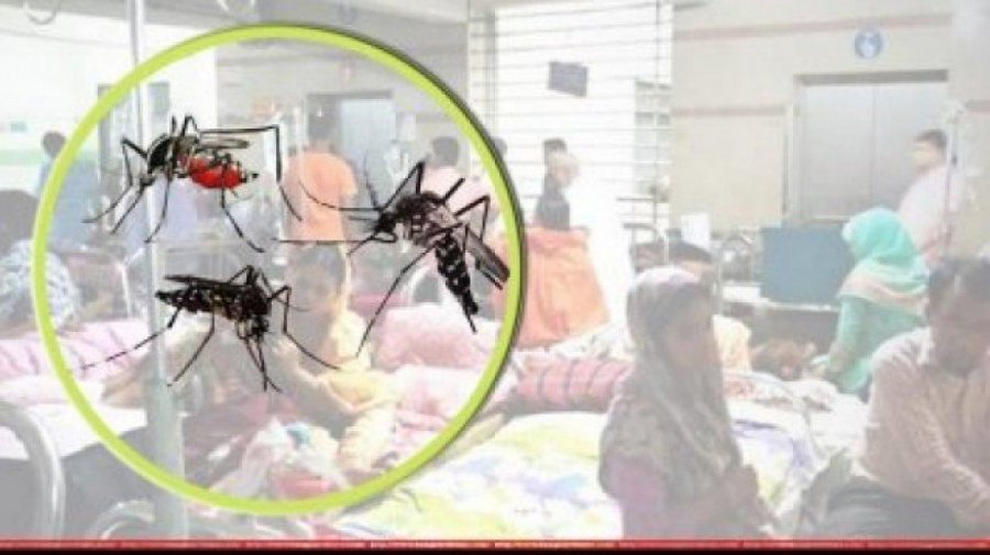 ডেঙ্গুর প্রকোপ (ফাইল ছবি)