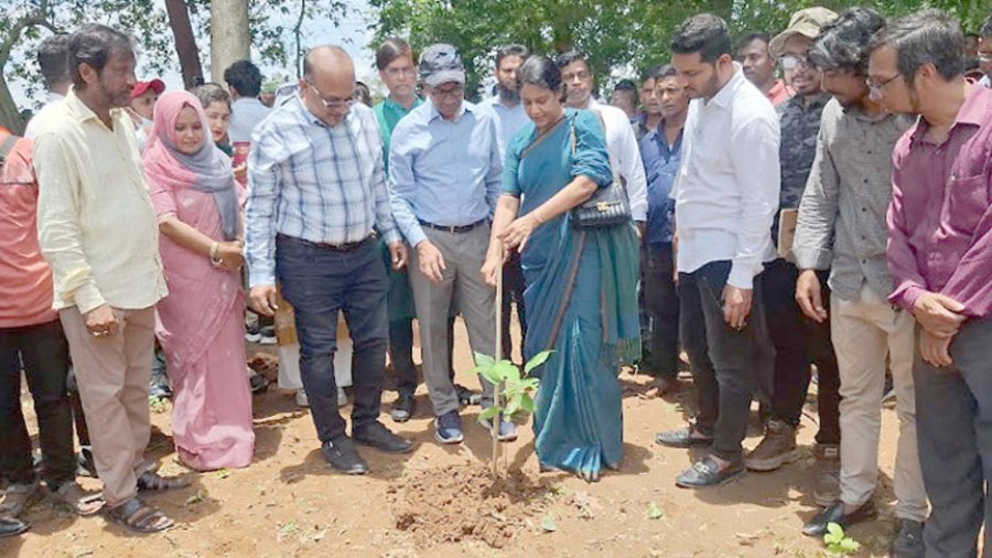 মধুপুরের টেলকি এলাকায় শাল গাছের চারা রোপণ করেন উপদেষ্টা সৈয়দা রিজওয়ানা হাসান
