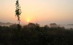 নতুন বছরের প্রত্যাশা