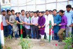 রাজধানীর সড়কদ্বীপের সৌন্দর্যবর্ধনে ছাত্রলীগ